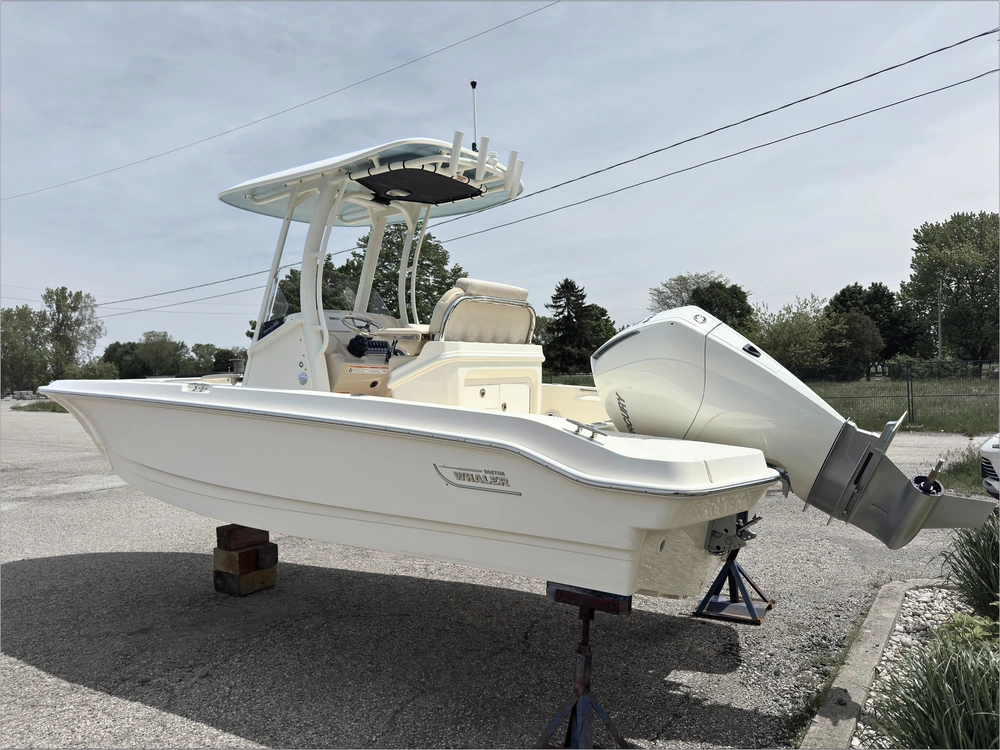 2025 Boston Whaler 220 Dauntless alt