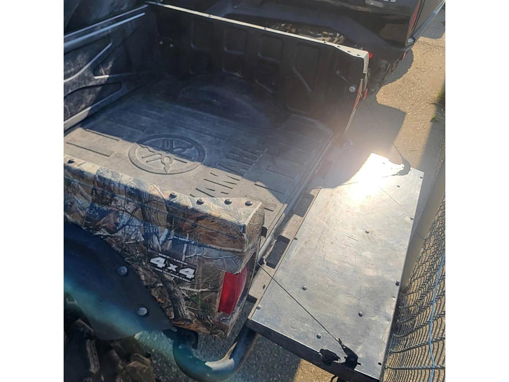 2009 Yamaha Rhino 700 alt