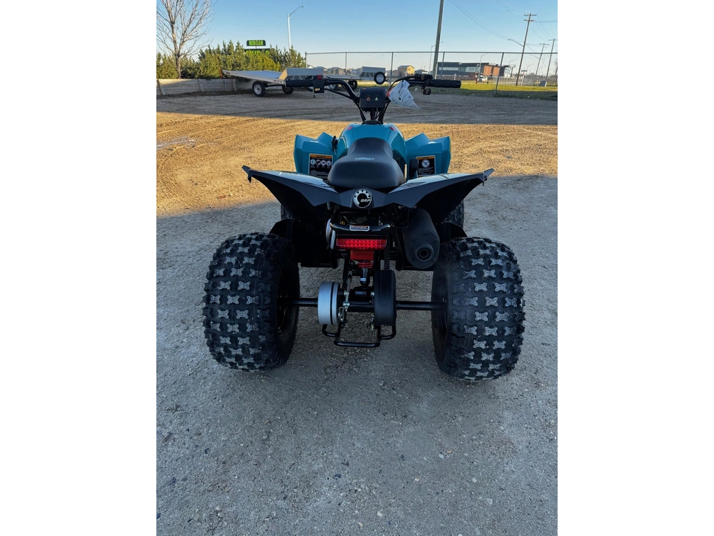 2026 Can-am Renegade 110 Efi alt
