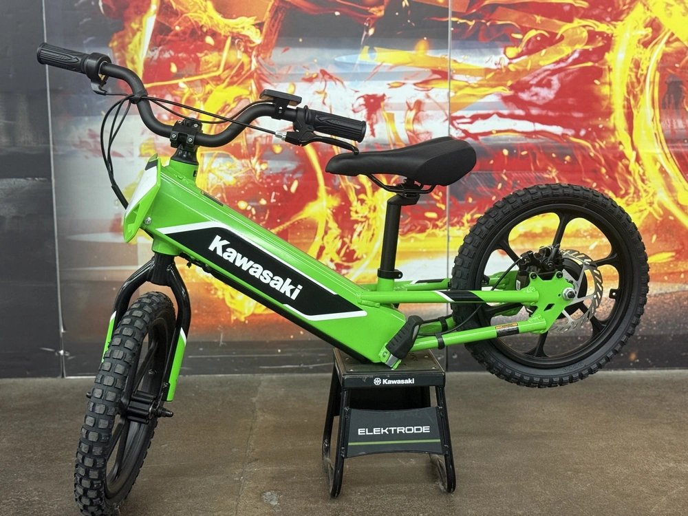 Kawasaki Electrode 2024 alt