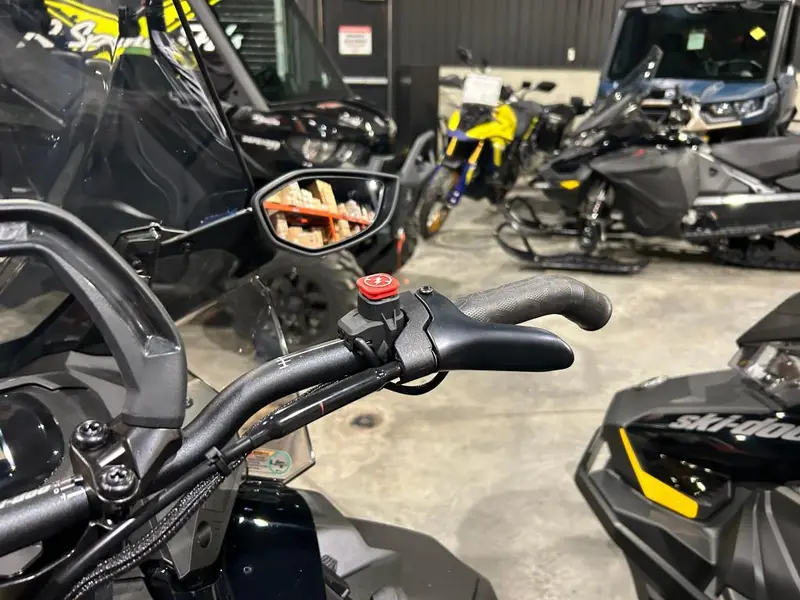 2026 Ski-Doo SKANDIC LE 20'' 600 EFI Silent Cobra 1.5'' E.S.