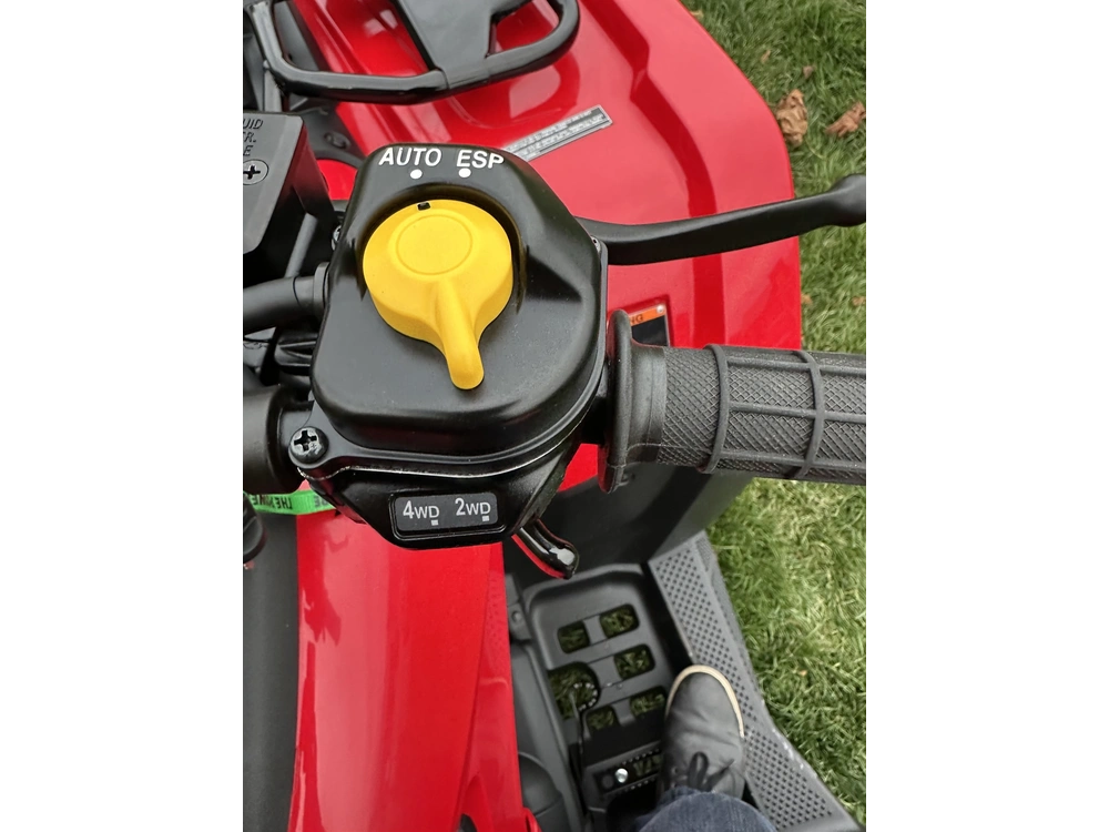 2024 Honda Rubicon 700 Irs alt