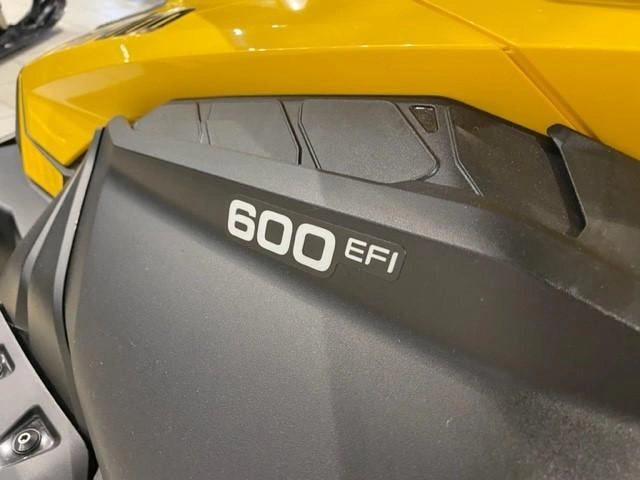 Ski-doo Skandic Sport 600 Efi Utility 1.25'' E.s. 2024 alt