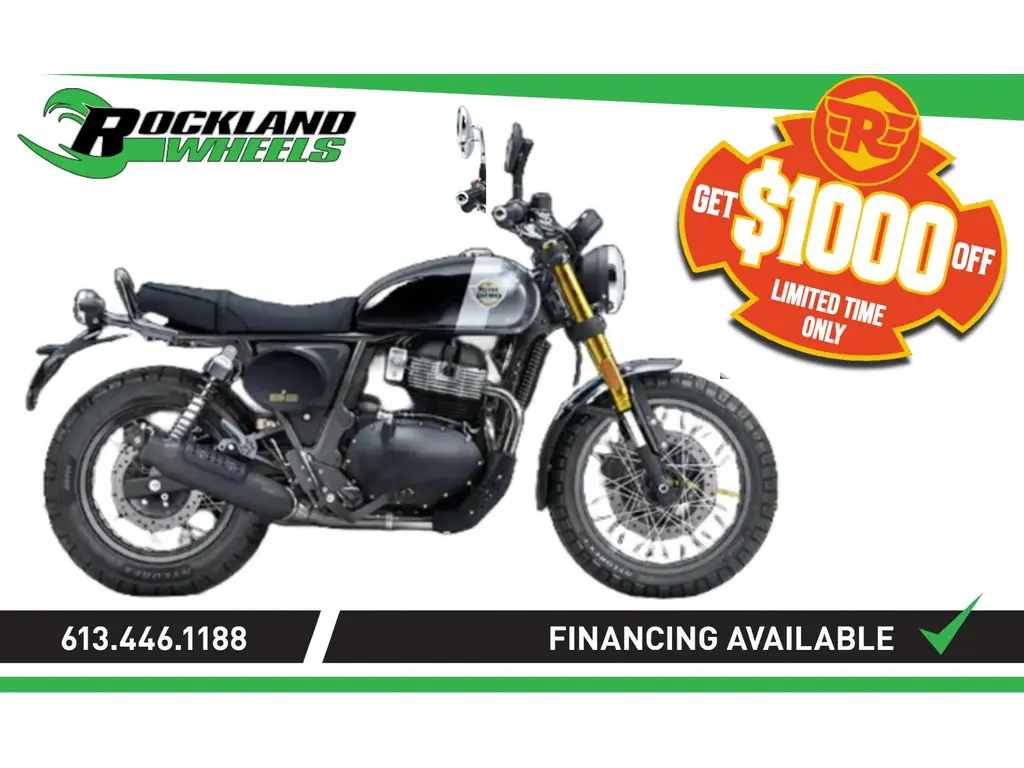 Royal Enfield INTERCEPTOR BEAR 650 - GOLDEN SHADOW 2025