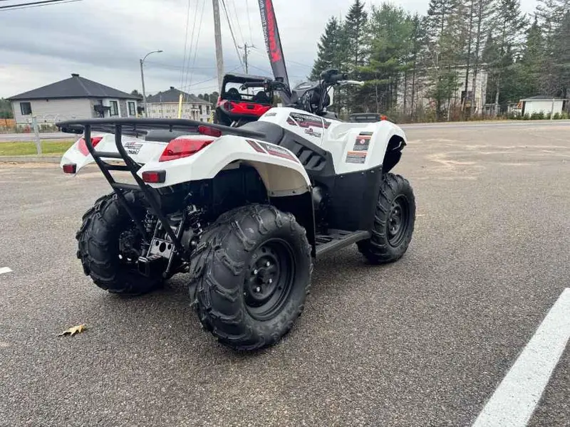 2025 Kawasaki BRUTE FORCE 450 thumbnail 5