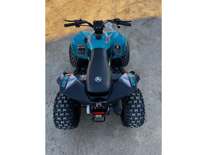 2026 Can-Am RENEGADE 110 EFI