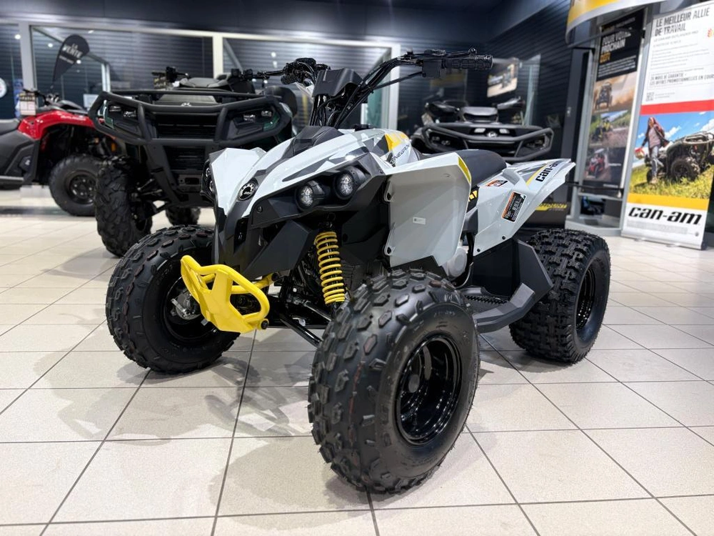 Can-am Renegade 110 Efi 2026 alt
