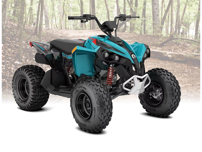 2026 Can-am Renegade 110 Efi alt