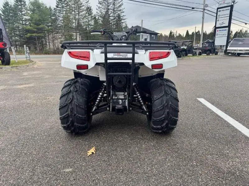 2025 Kawasaki BRUTE FORCE 450 thumbnail 6