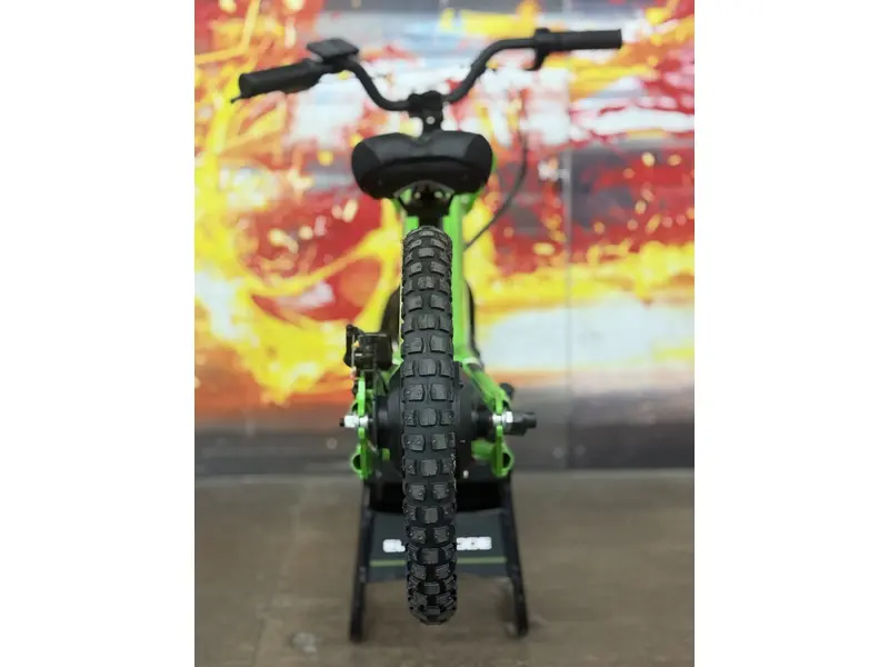 2024 Kawasaki ELECTRODE thumbnail 2