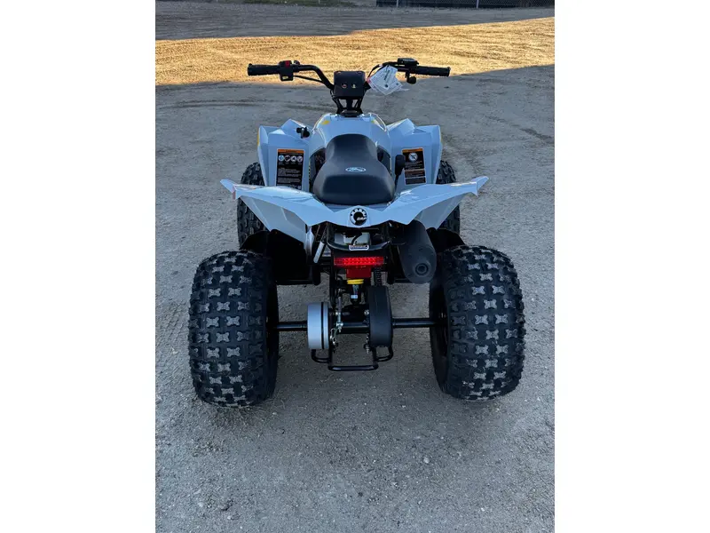 Can-Am RENEGADE 110 EFI 2026