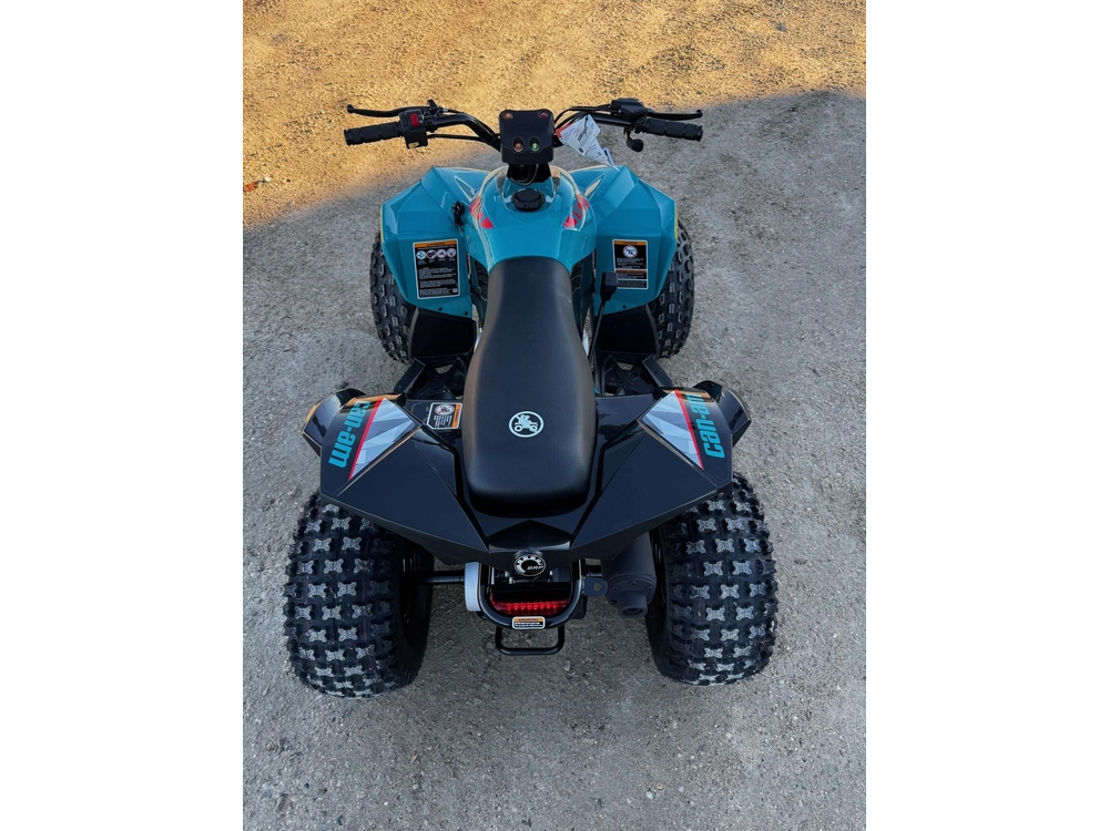 2026 Can-am Renegade 110 Efi alt