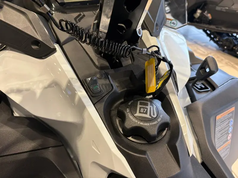 2026 Ski-Doo SKANDIC LE 24'' 900 ACE Silent Cobra 1.5'' E.S.