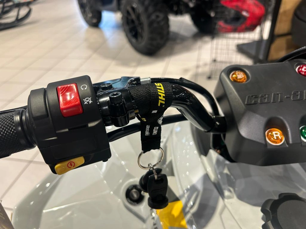 Can-am Renegade 110 Efi 2026 alt