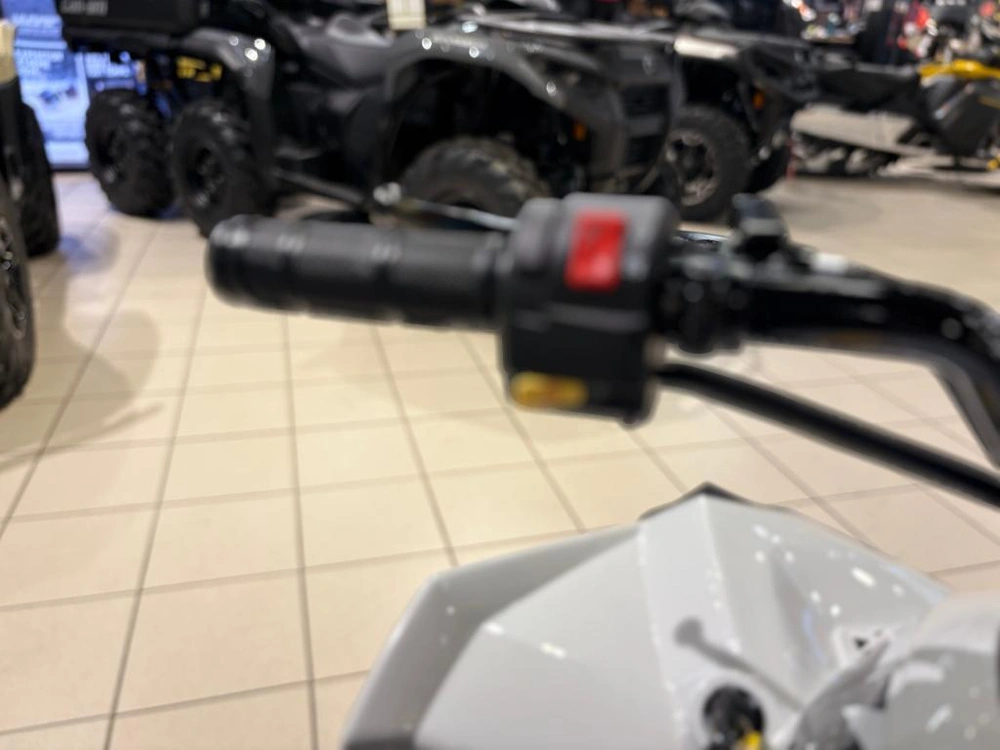 Can-am Renegade 110 Efi 2026 alt