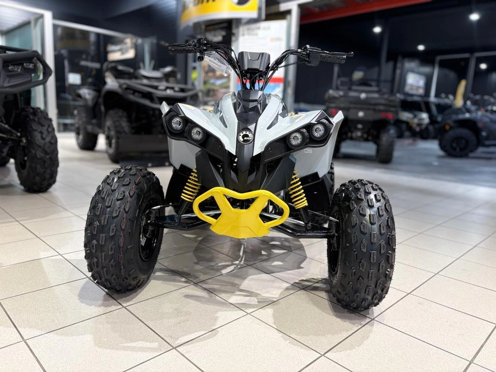 Can-am Renegade 110 Efi 2026 alt