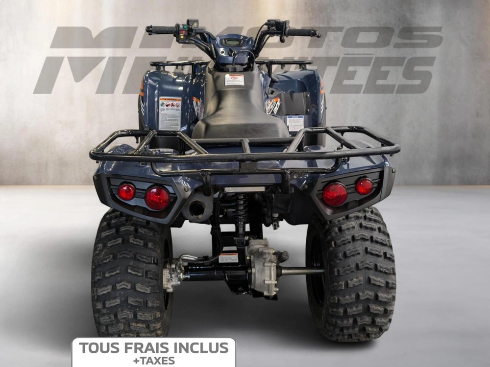 Kawasaki Brute Force 300 2024 alt