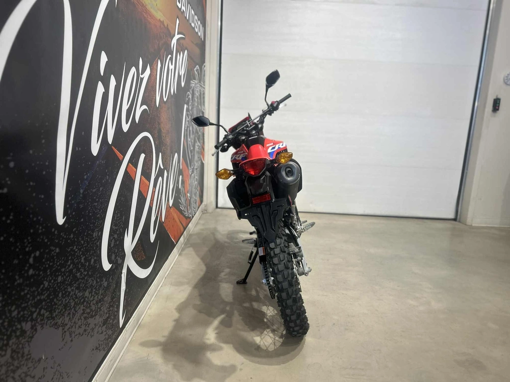 Honda Crf300l 2021 alt