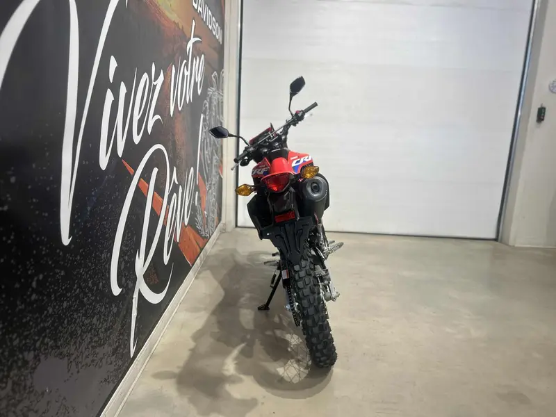 2021 Honda CRF300L thumbnail 8