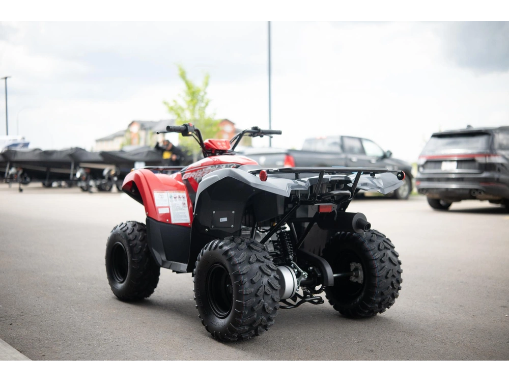 2025 Yamaha Grizzly 110 alt