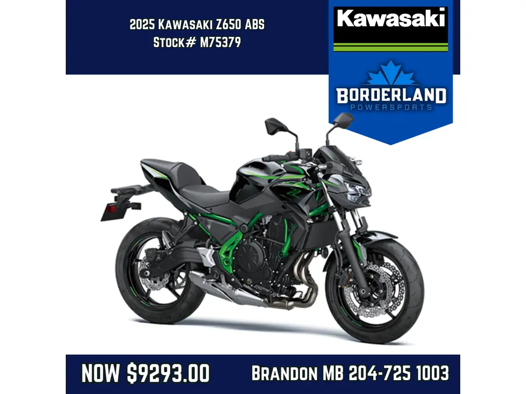 2025 Kawasaki Z650 ABS