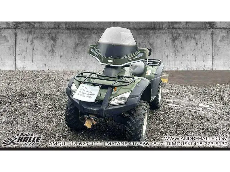 2004 Honda RINCON