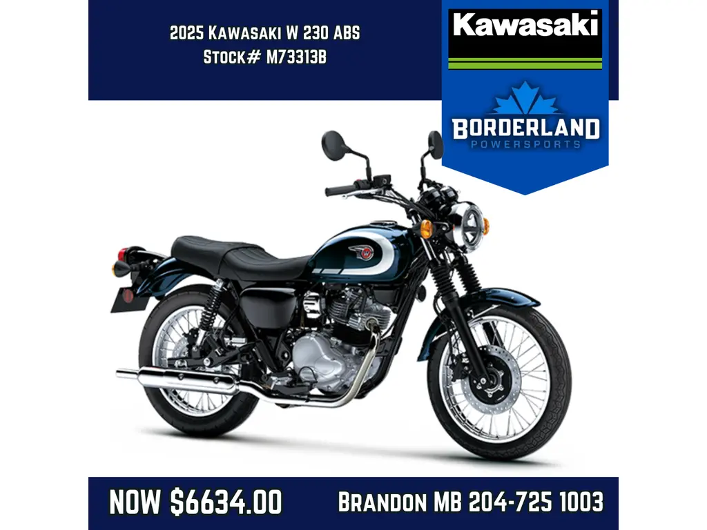 2025 Kawasaki W 230 ABS 