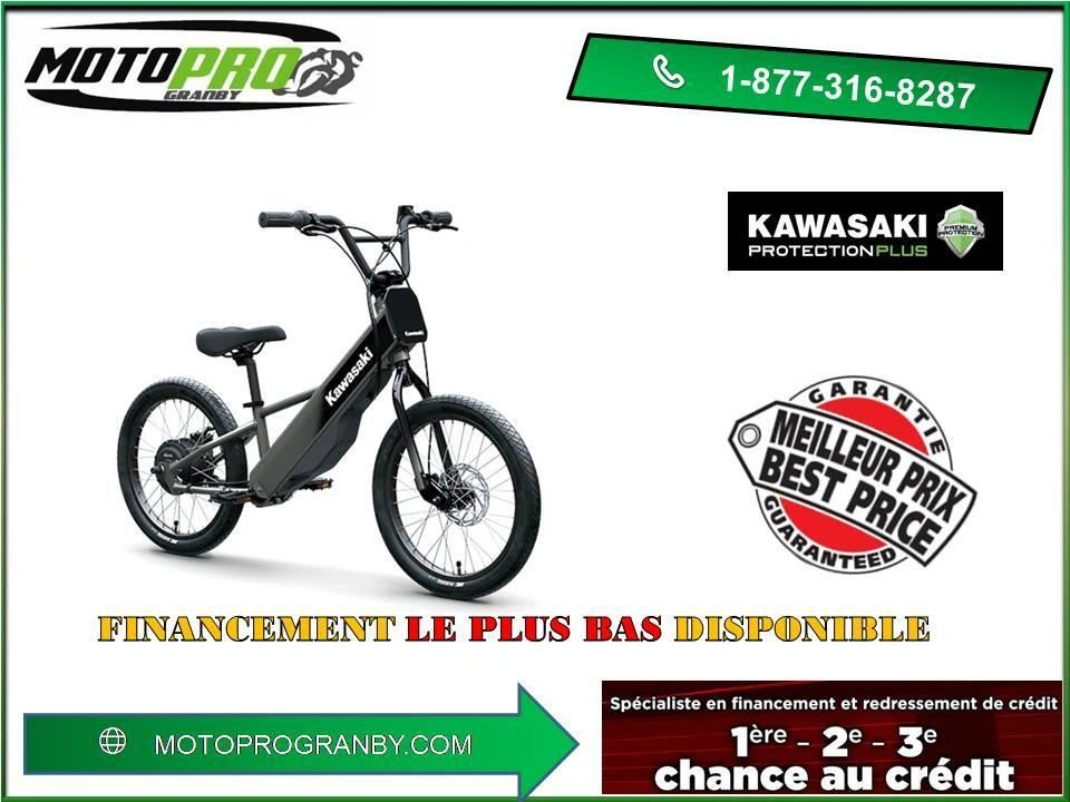 2025 Kawasaki Elektrode Elektrode 20f Elektrode20fs Stacyc 20 alt