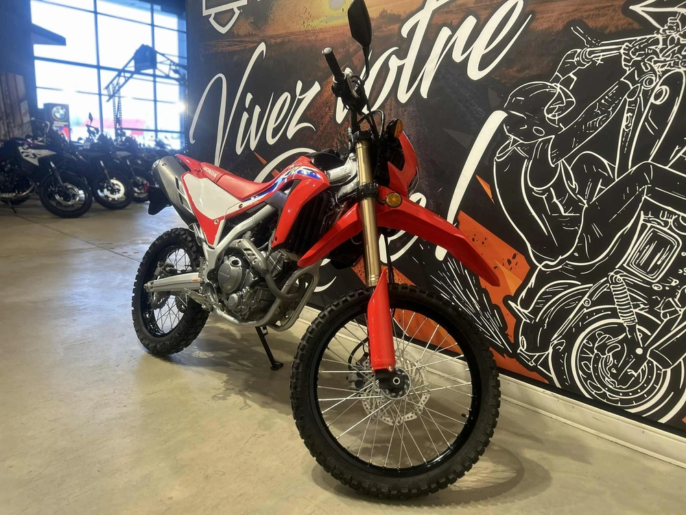 Honda Crf300l 2021 alt
