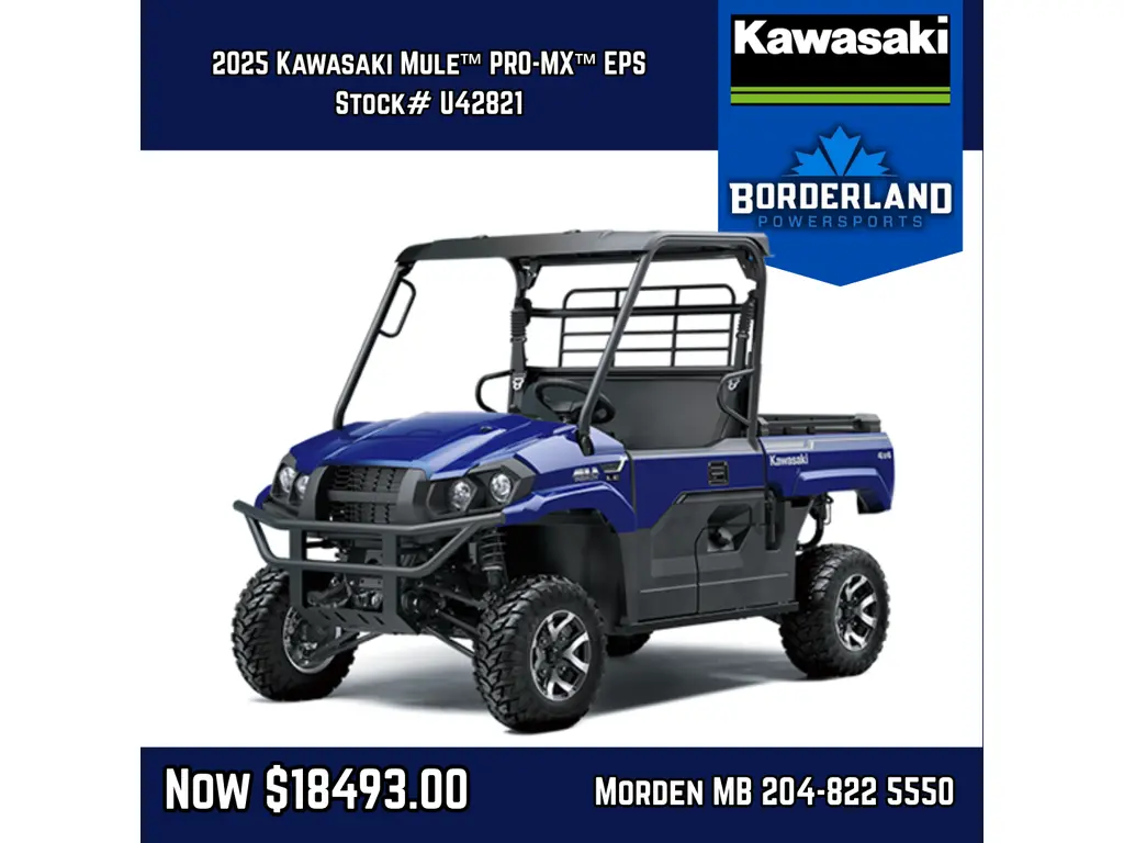 2025 Kawasaki Mule PRO-MX EPS 