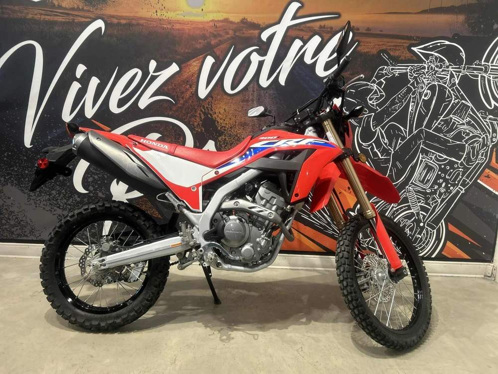 Honda Crf300l 2021 alt