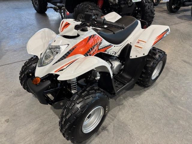 2022 Argo Xplorer Xc 90 Xc90 Xc Kfx90 Kfx Enfant Vtt Ds Ds90 Raptor Ltz alt