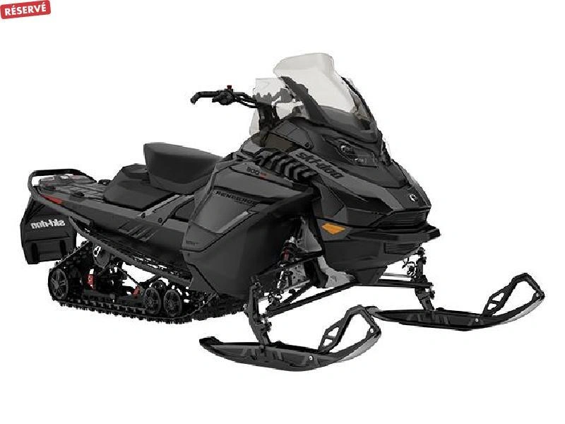 2024 Ski-doo Renegade Adrenaline 900 Ace Turbo Ripsaw 1.25' E.s. alt
