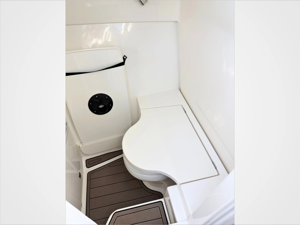 2021 Pursuit Dc 326 alt