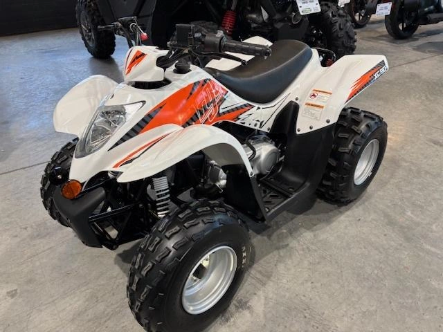 2022 Argo Xplorer Xc 90 Xc90 Xc Kfx90 Kfx Enfant Vtt Ds Ds90 Raptor Ltz alt