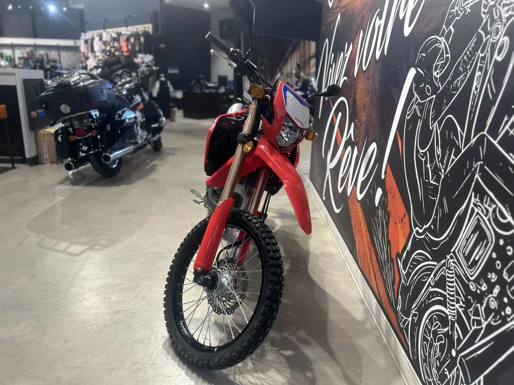 Honda Crf300l 2021 alt