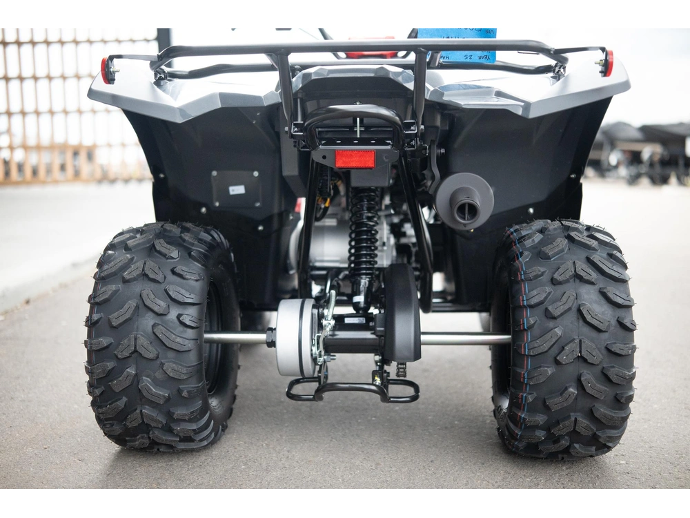2025 Yamaha Grizzly 110 alt