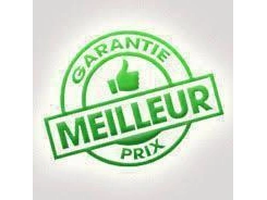 2025 Kawasaki Teryx4 Teryx S Le 4 Personnes Teryx4 alt