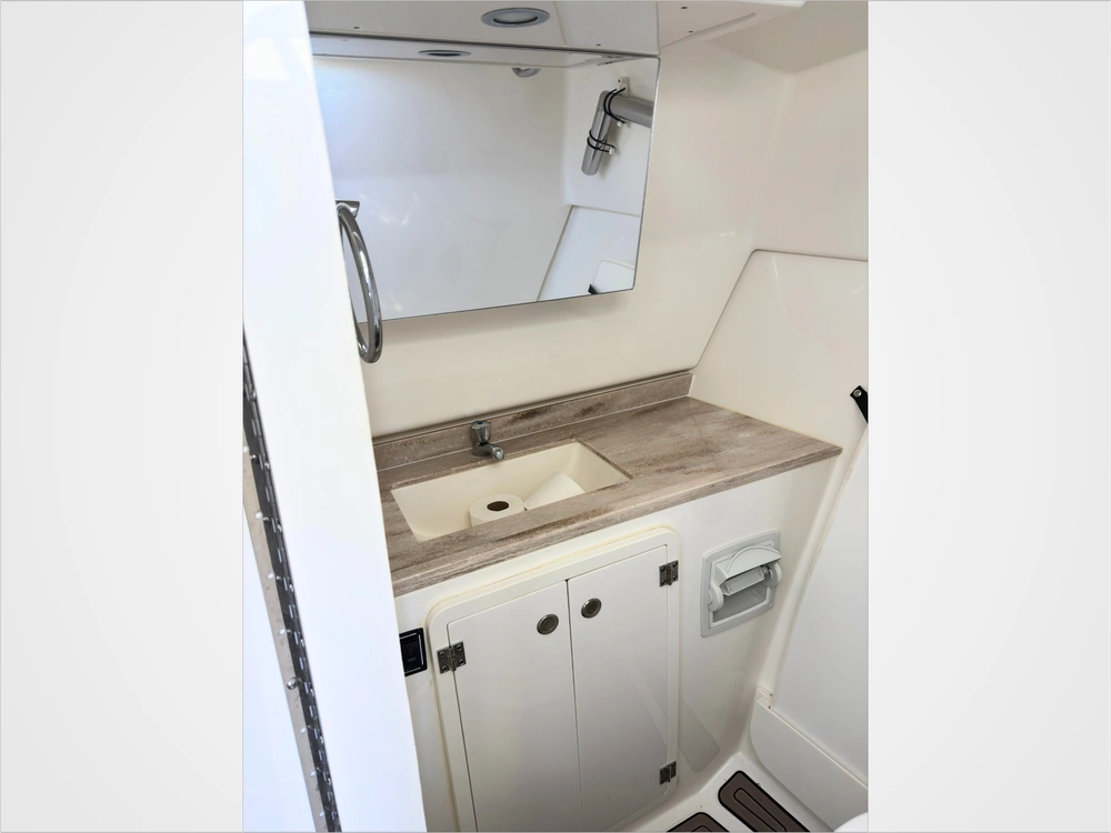 2021 Pursuit Dc 326 alt