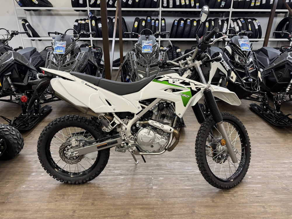 2026 Kawasaki Klx 230 Abs alt