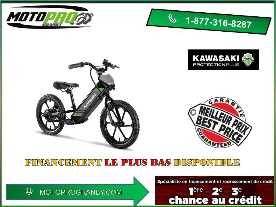 2025 Kawasaki Elektrode Elektrode 16e Elektrode16e Stacyc 16 alt