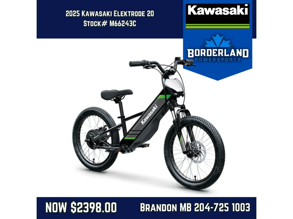 2025 Kawasaki Elektrode 20 