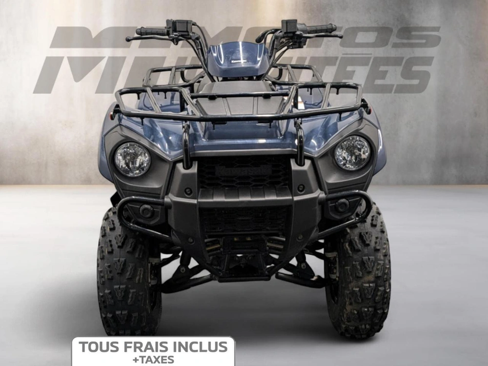 Kawasaki Brute Force 300 2024 alt
