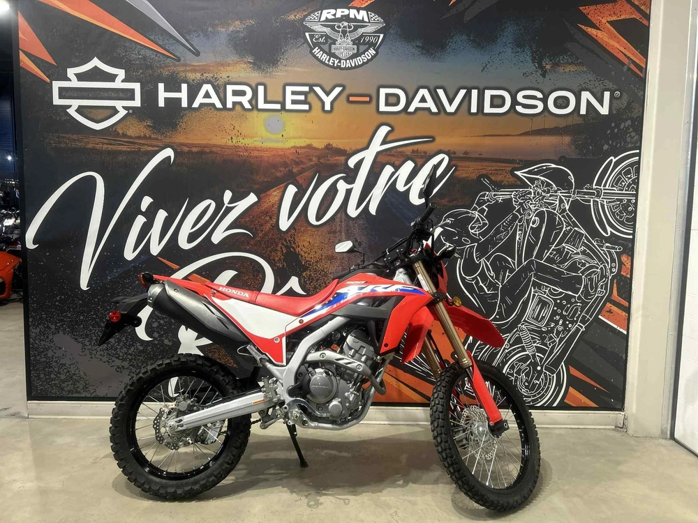 Honda Crf300l 2021 alt