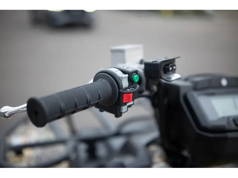 2026 Yamaha GRIZZLY 700