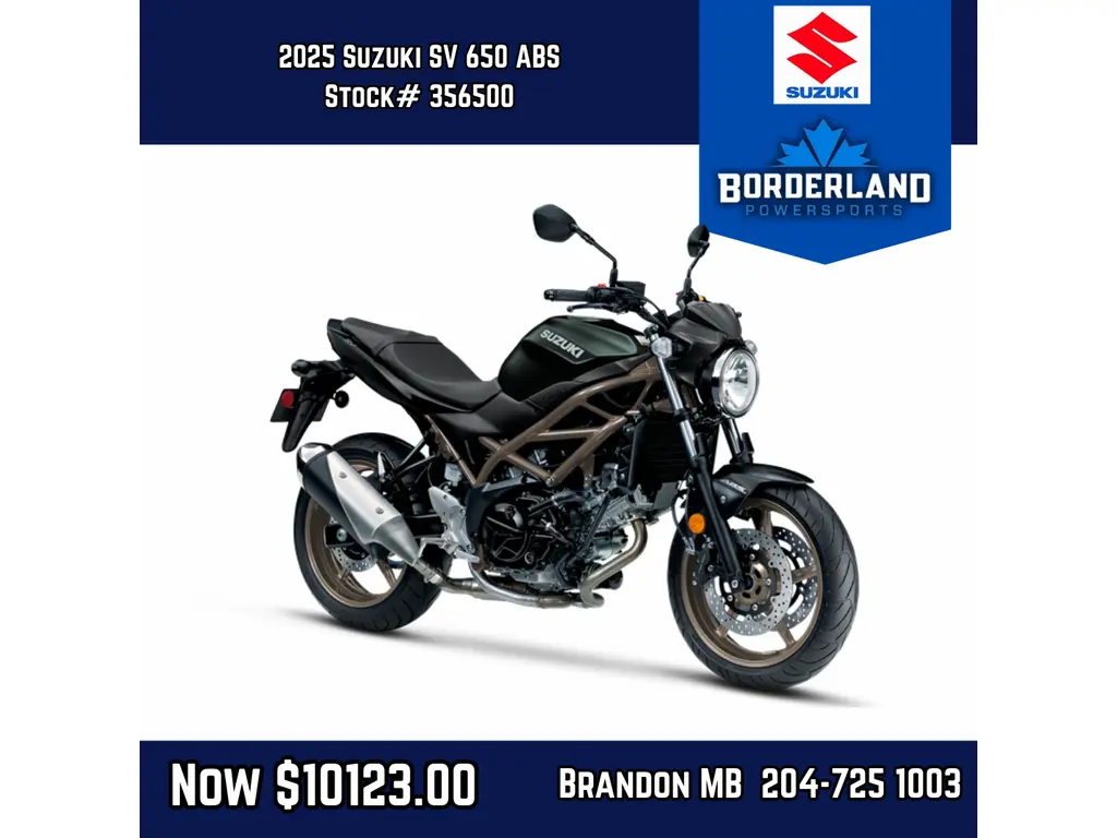 2025 Suzuki SV 650 ABS 