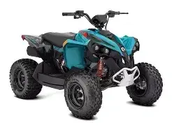 2025 BRP RENEGADE 70 EFI 