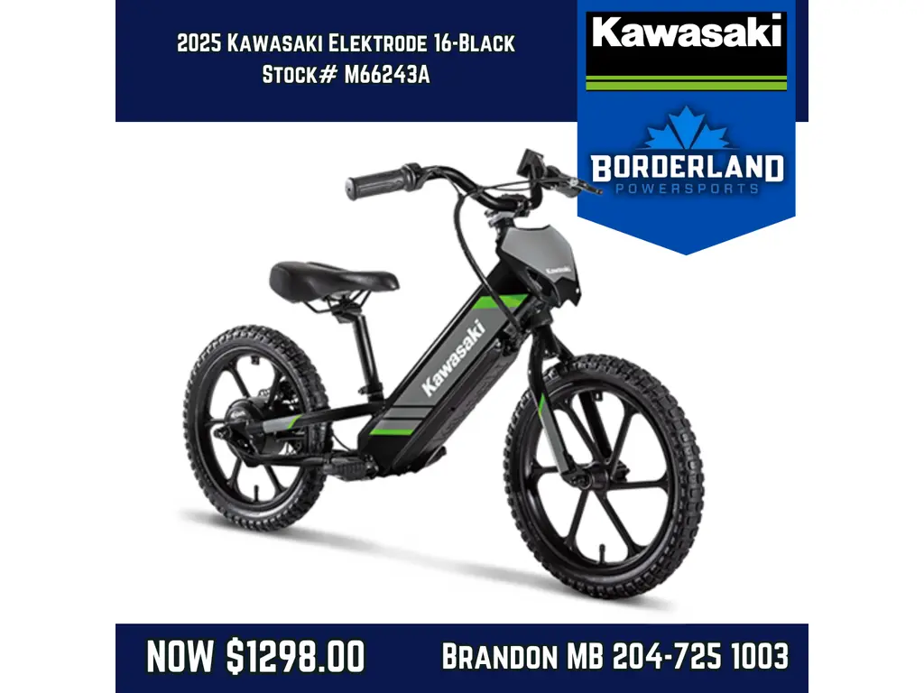 2025 Kawasaki Elektrode 16-Black 