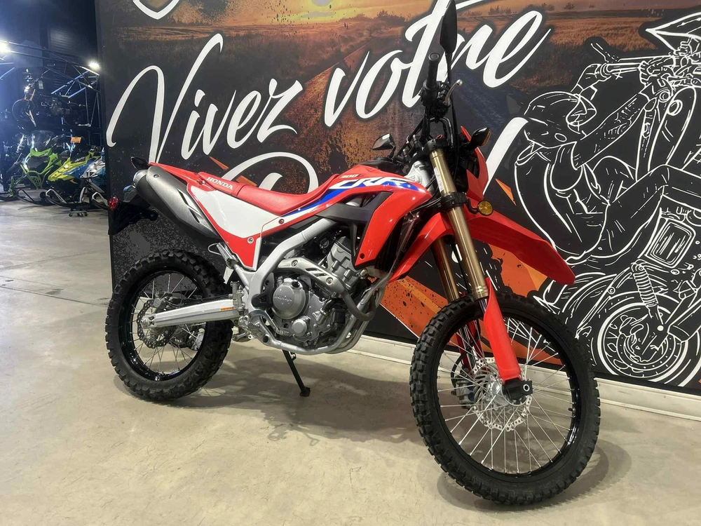 Honda Crf300l 2021 alt