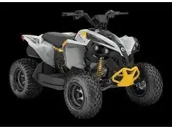 BRP RENEGADE 70 EFI  2025